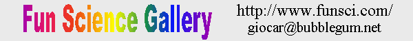 All'Home Page di Fun Science Gallery